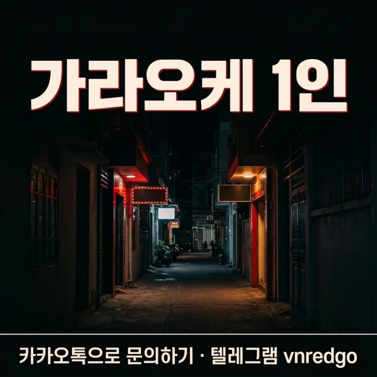 다낭 가라오케 1인 혼자 — 가능한 곳·비용 구조·1인 안내받는 법